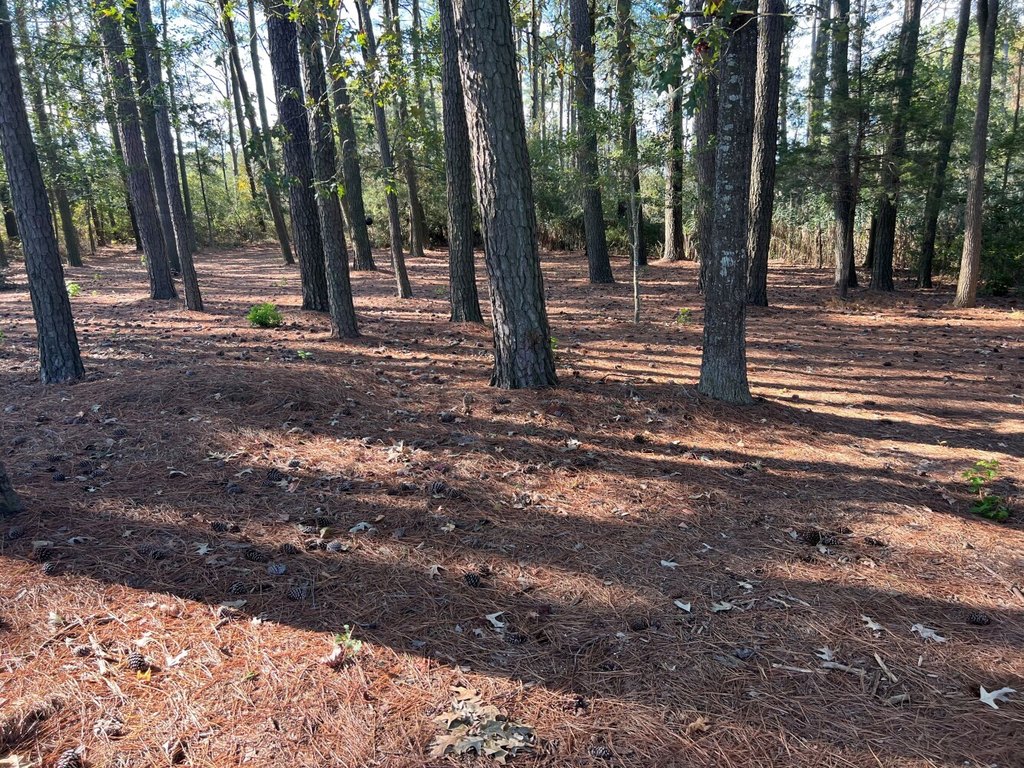 Picture 11