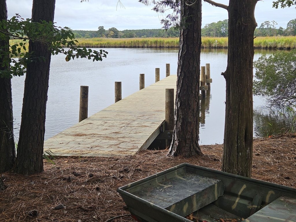 Picture 4