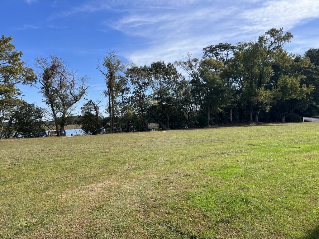 Picture 27
