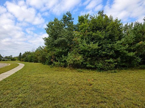 Land, Gaylord, MI