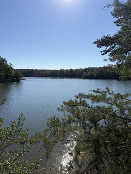 Land, HEATHSVILLE, VA
