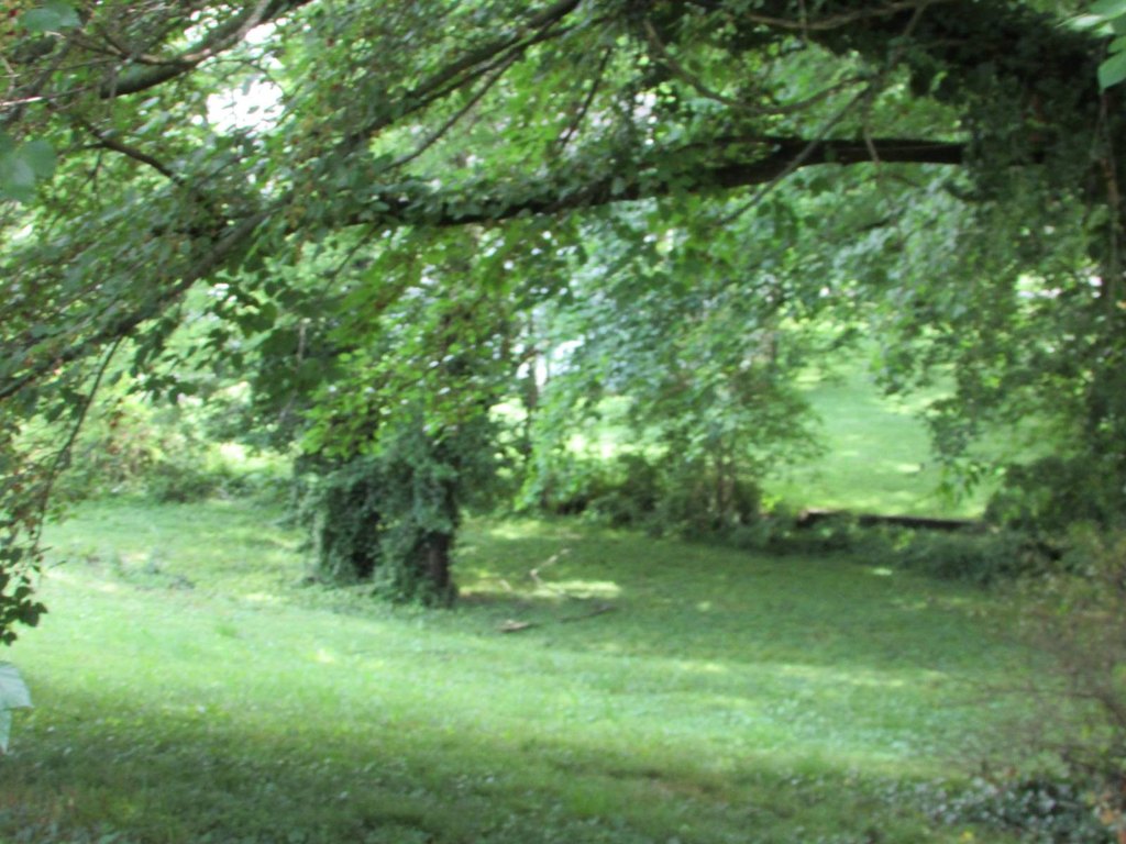 Picture 8