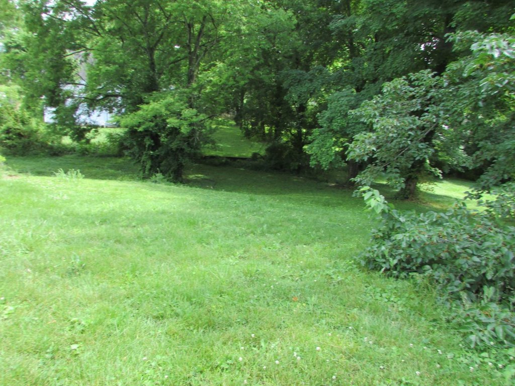 Picture 11