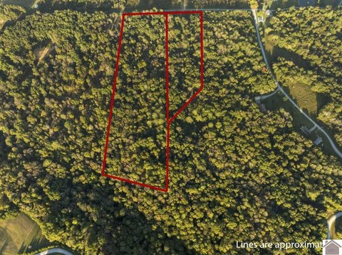 Lake Malone Timbered Land Parcel