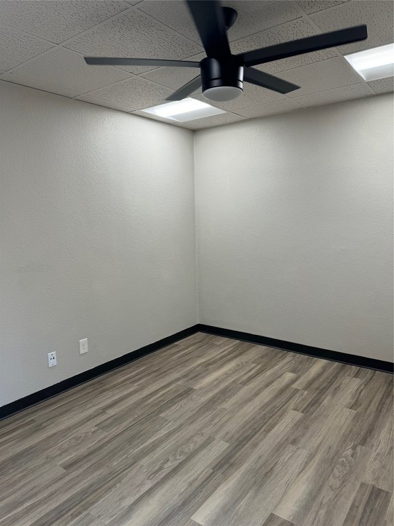 Picture 13