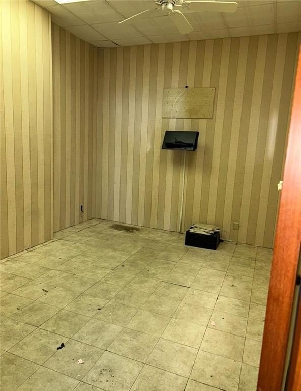 Picture 3