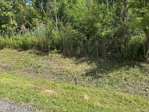 Residential Land in Kimball Twp