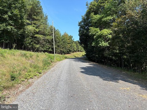 Mountain Land in Hamilton Estates