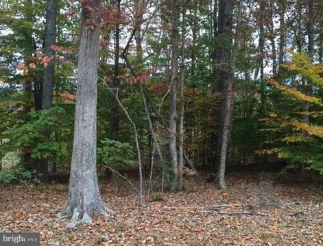 Residential Land in Lake Land Or