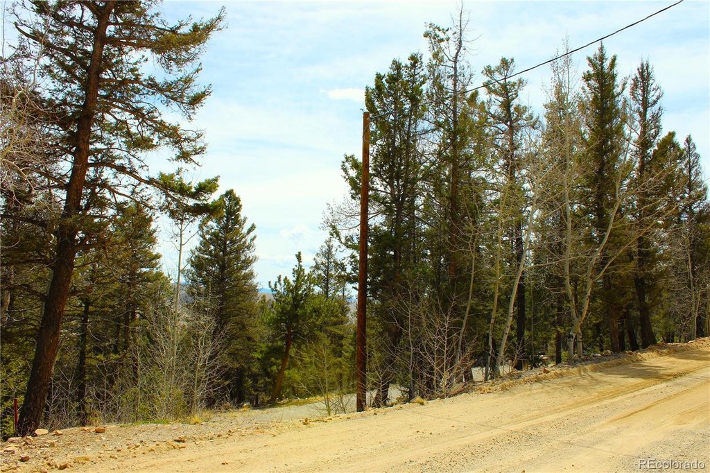 Picture 11