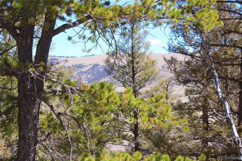 Land, Fairplay, CO
