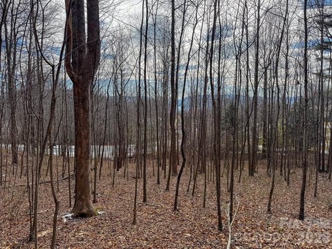 LAND - Hendersonville, NC