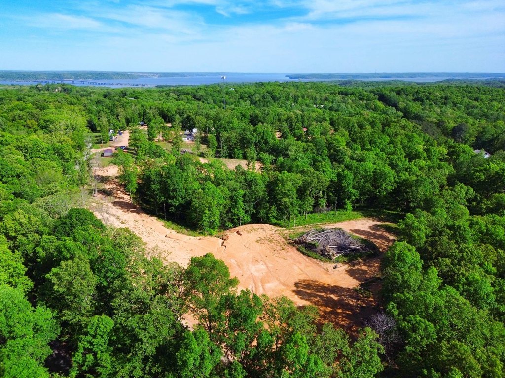 Picture 21