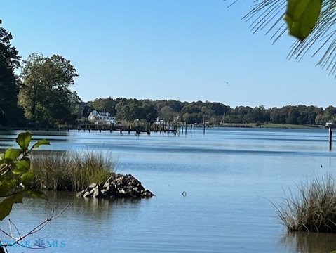 Waterfront Land in White Stone
