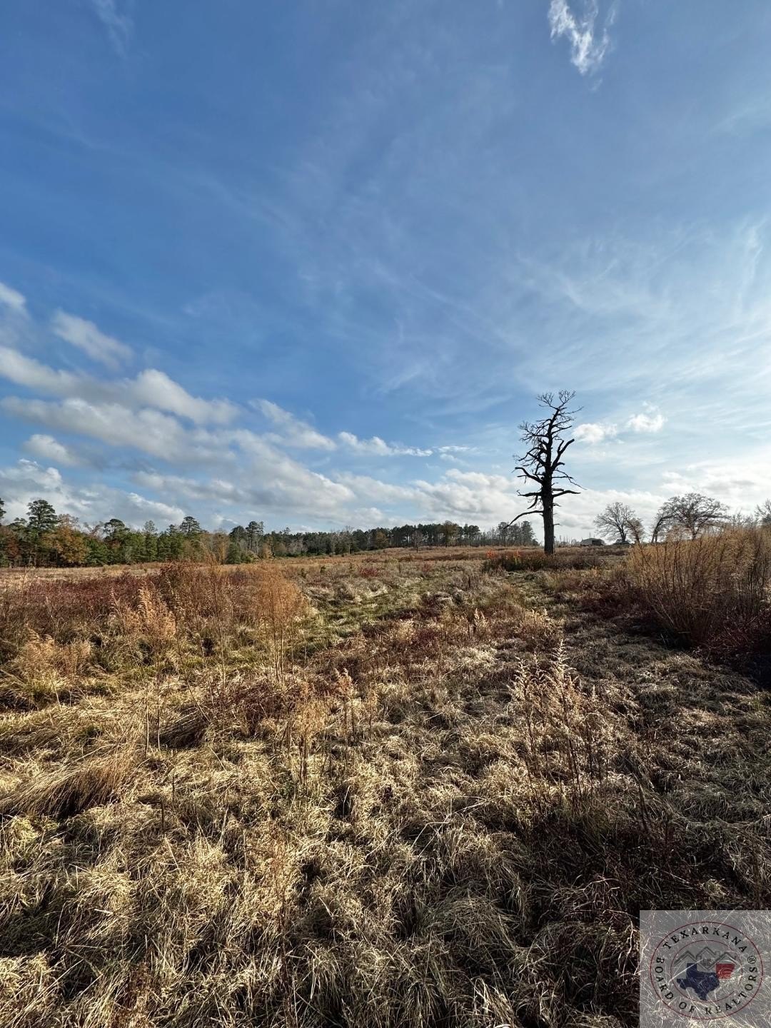 Linden, TX - 20+ Acres