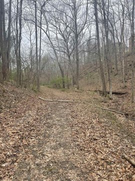 Undeveloped Land Near Huntington, WV