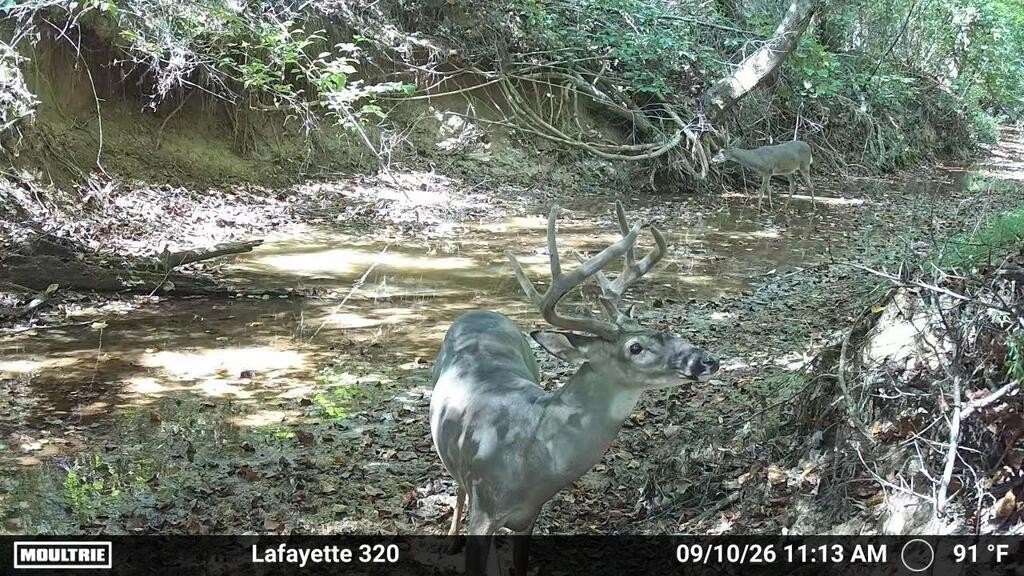 Picture 3