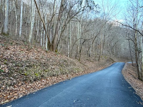 Wooded Land with Clinch River Views