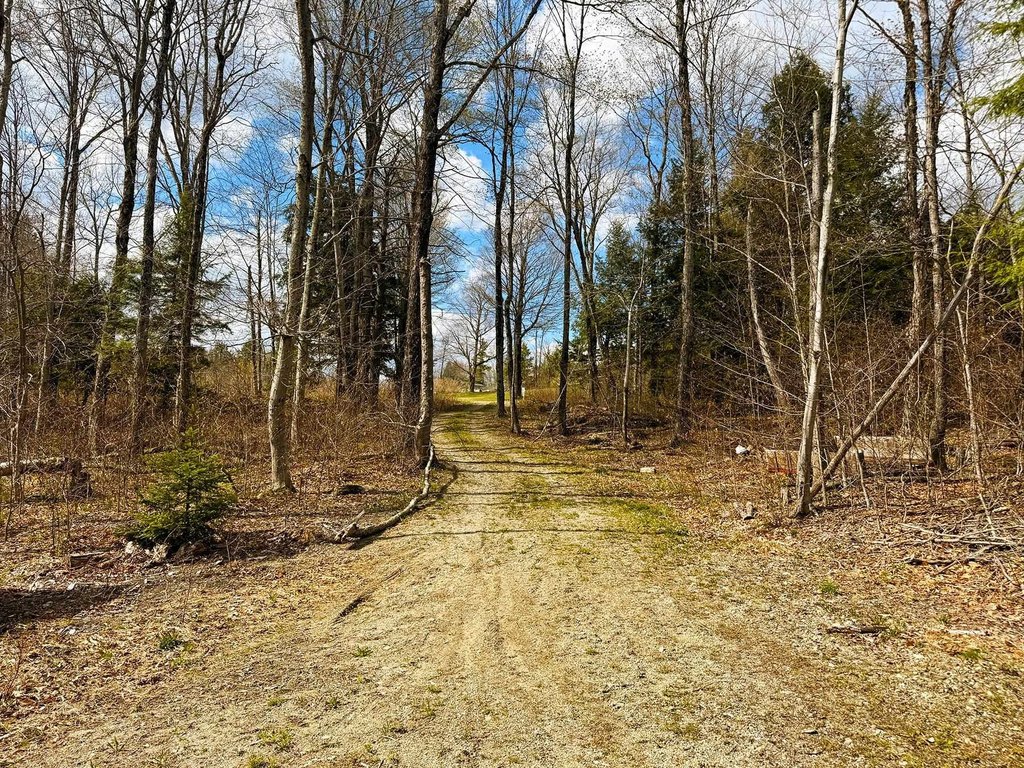 Picture 18