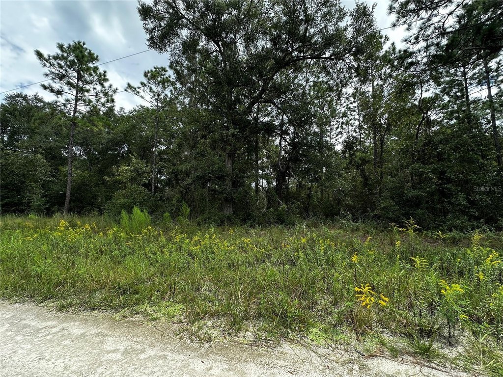 Picture 5