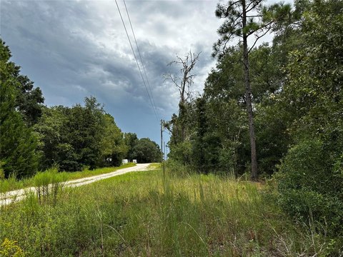 Land, WILLISTON, FL