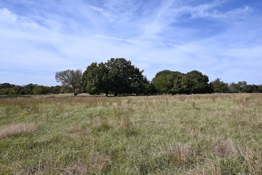 Picture 19