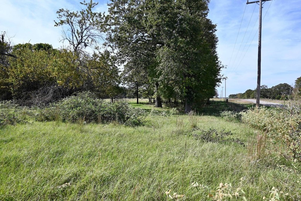 Picture 5