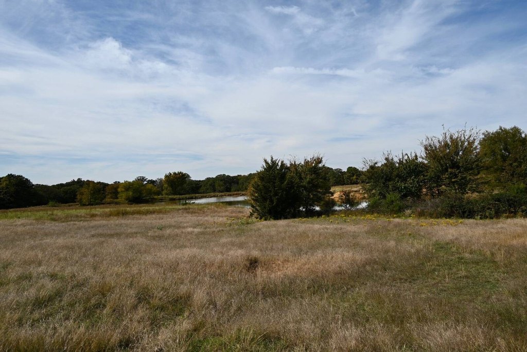Picture 22