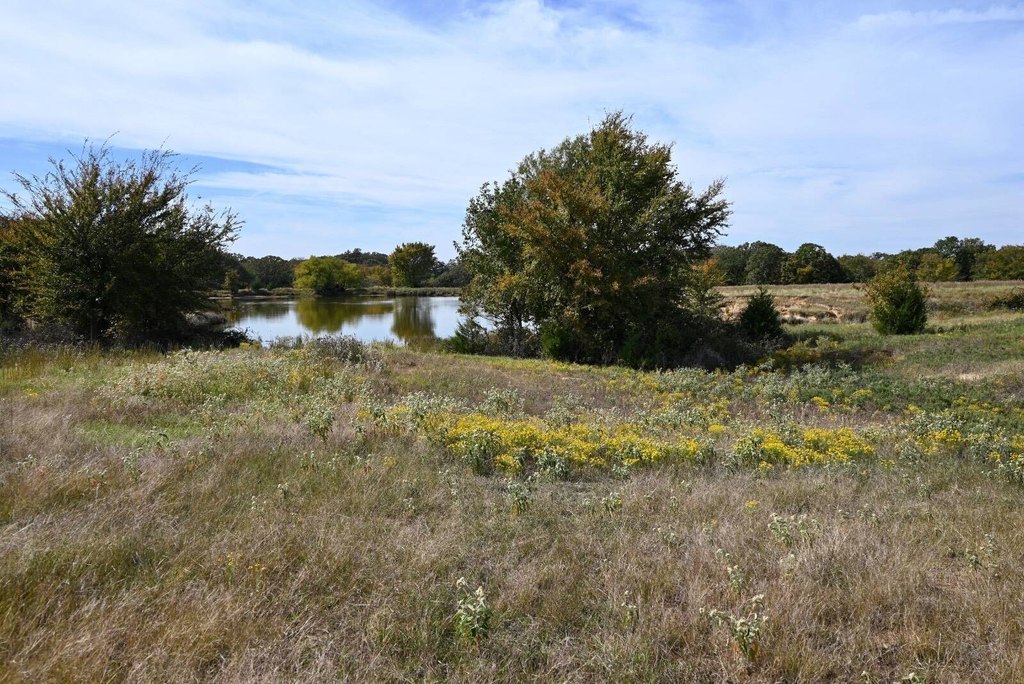 Picture 21