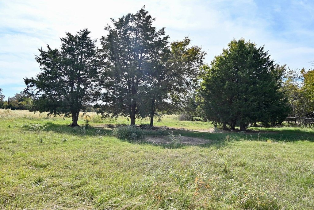 Picture 11