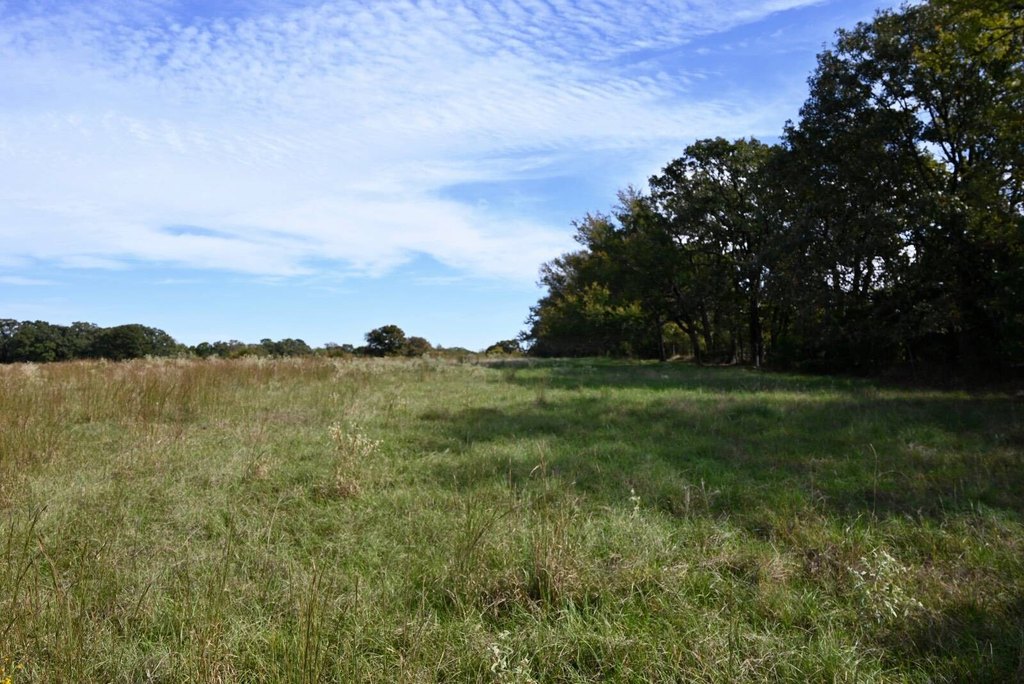 Picture 23