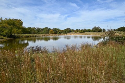 Land, Coleman, OK