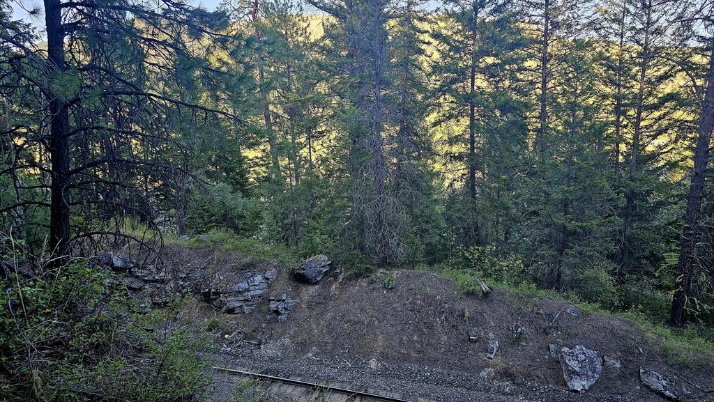 Picture 8