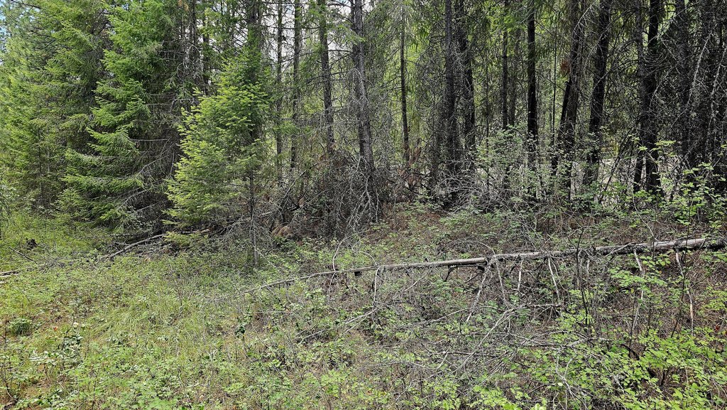 Picture 12