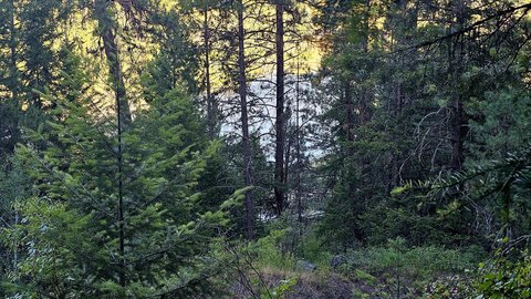 LAND - KETTLE FALLS, WA