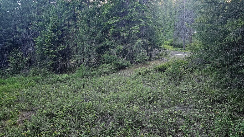 Picture 6