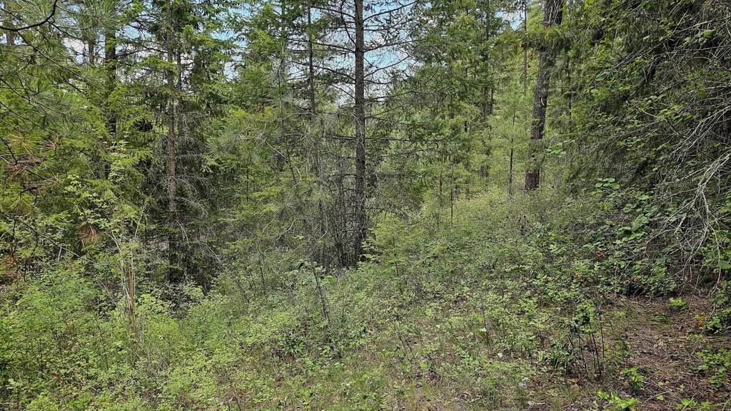 Picture 18