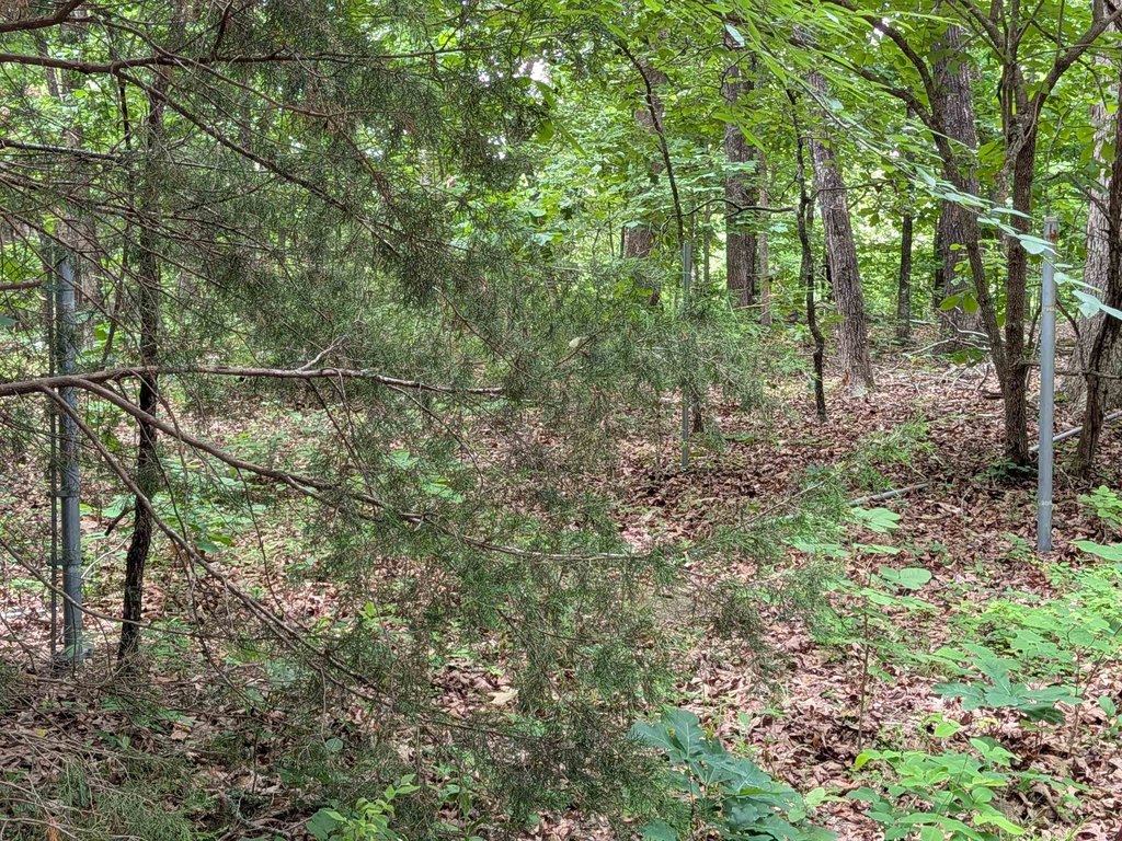 Picture 5