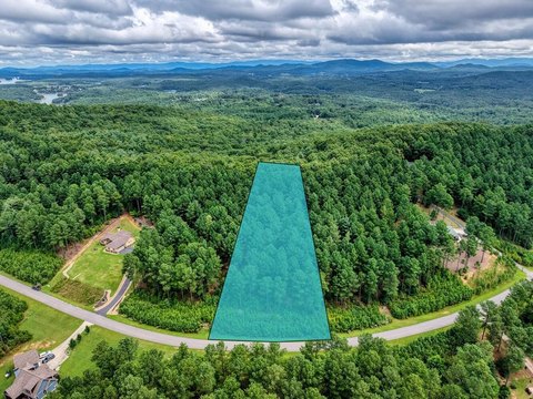 Blairsville Vacant Lot with Amenities
