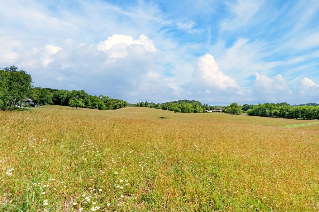 Picture 39
