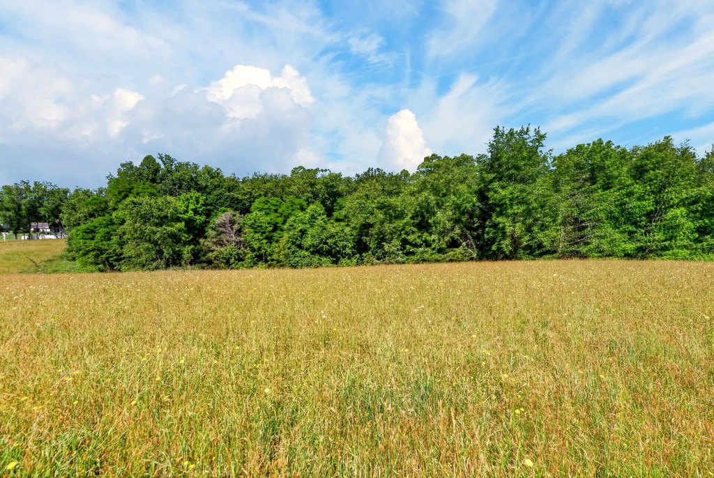 Picture 29
