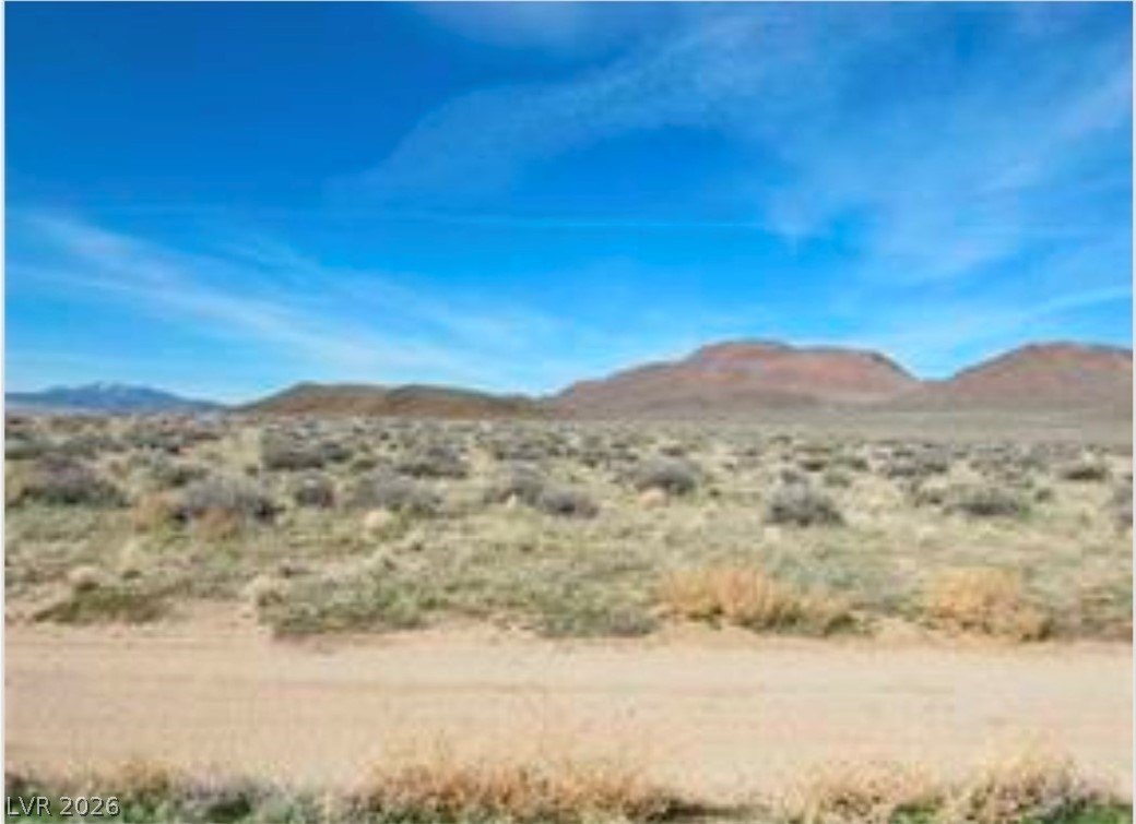 Silver Springs Vacant Land