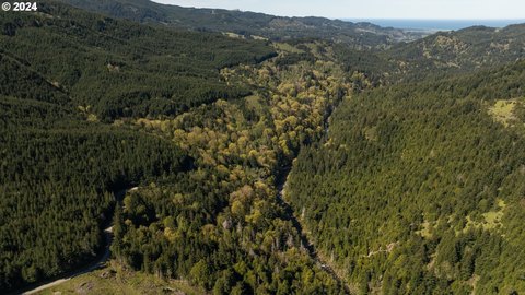 Secluded Timberland with Creek Frontage