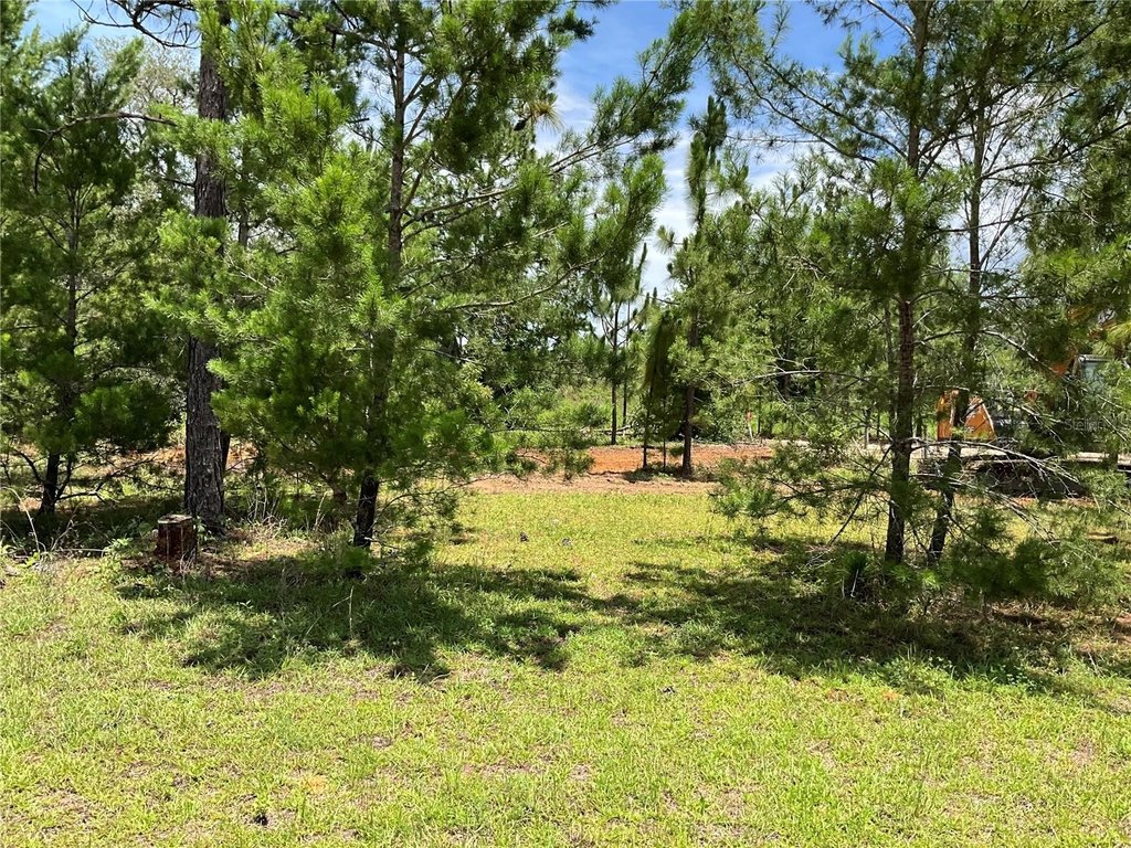 Picture 6