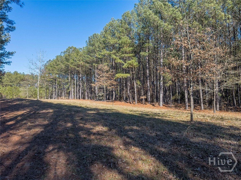 Picture 10
