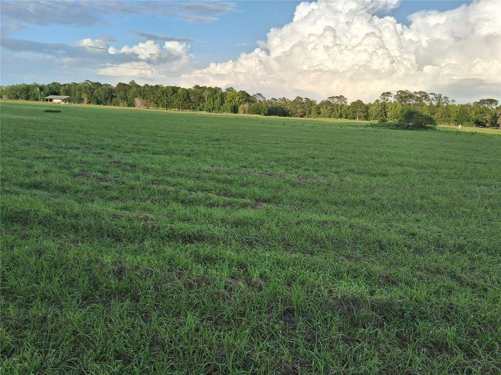 Picture 7