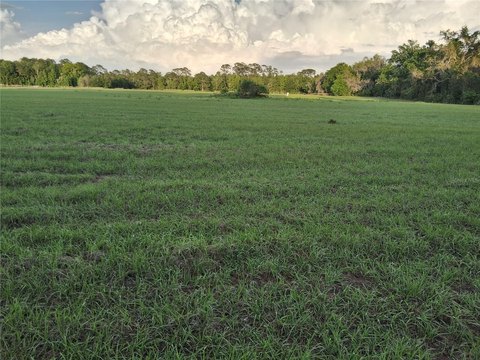 Cleared Agricultural Land