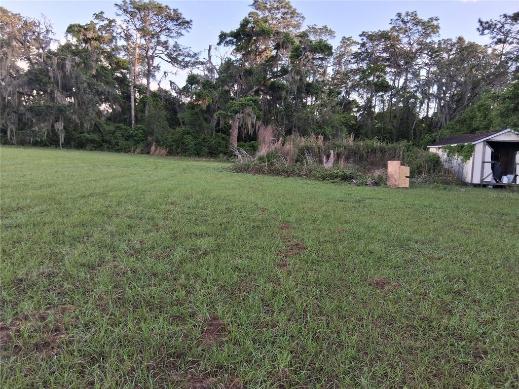 Picture 14