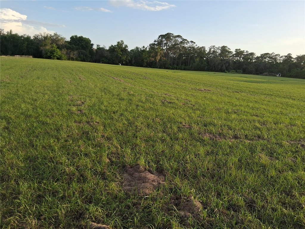 Picture 15