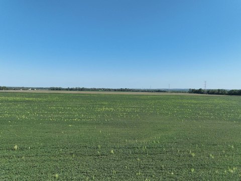 Irrigated Agricultural Land